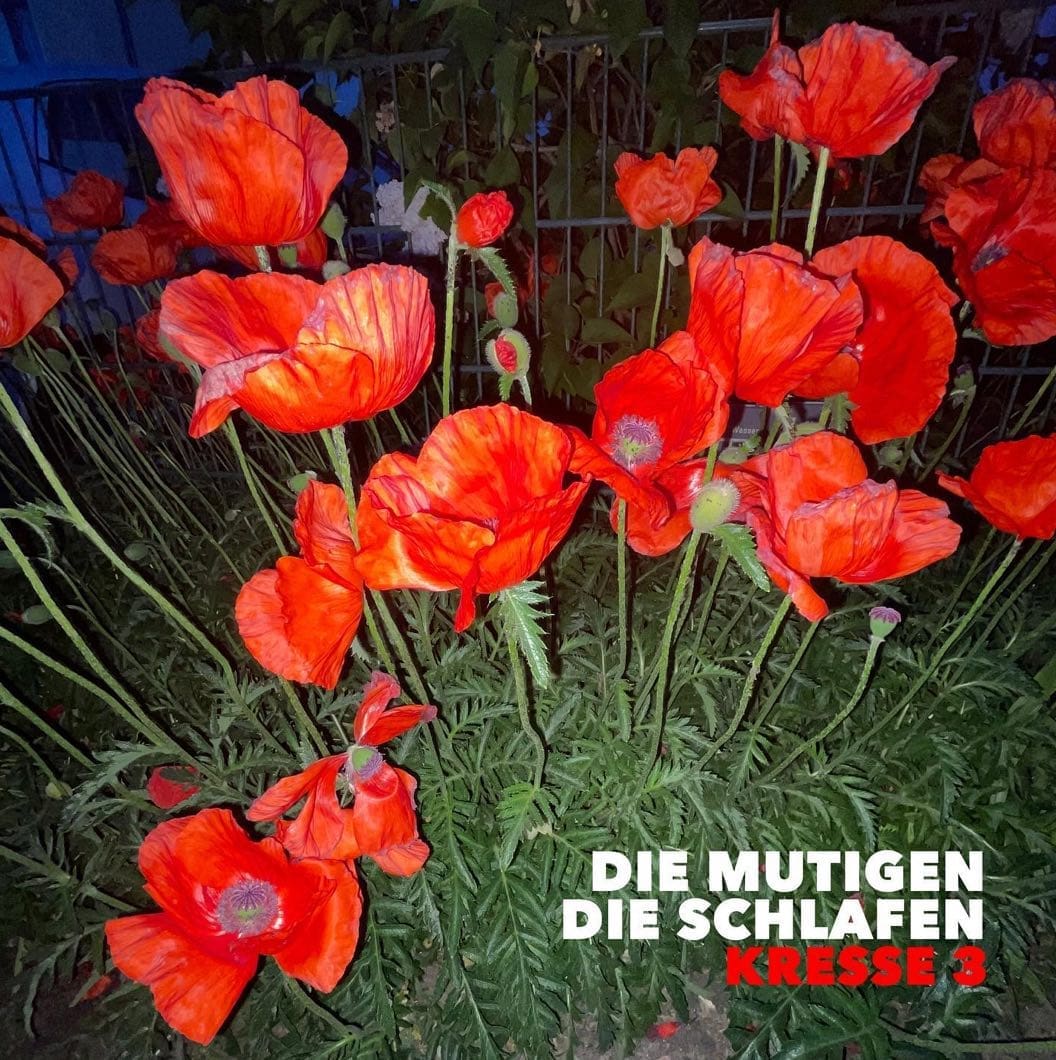 Kresse 3-die-mutigen-die-schlafen- indiemusik-Berlin